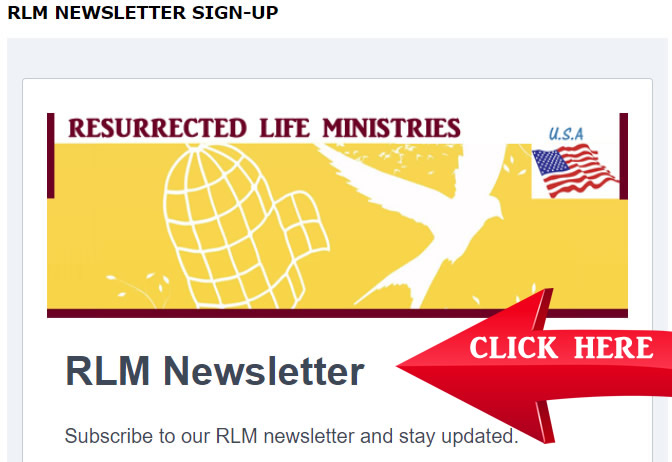 RLM Newsletter